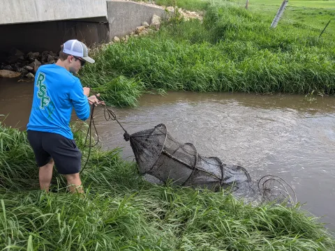 St. Norbert College student Martin Wolf discovers new species to science