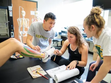 Health and Human Performance