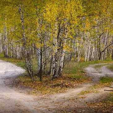 Roads Less Traveled Take St. Norbert Alums to New Graduate School Options