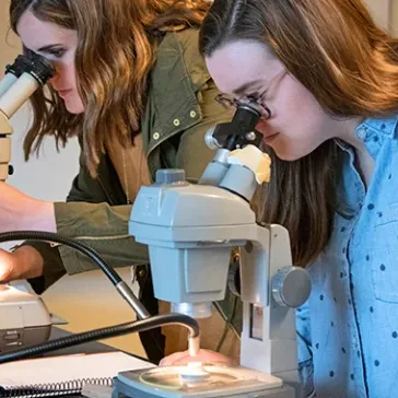 Students Solve 33-Million-Year Mini Mystery