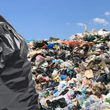 Waste Not, Want Not